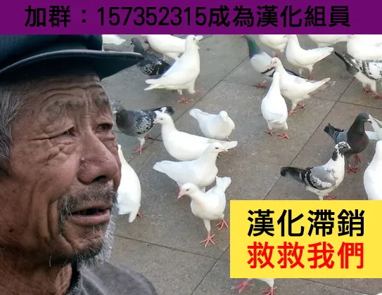 推特版08 第8页