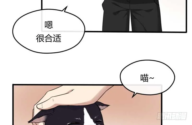 33-收留（下） 第13页