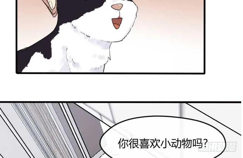 33-收留（下） 第14页