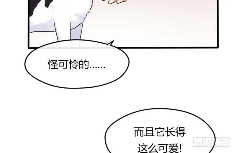 33-收留（下） 第18页