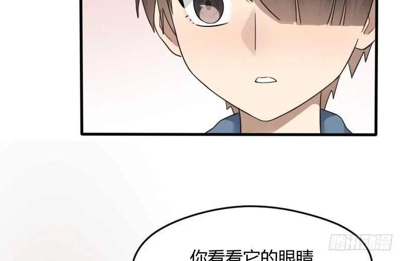 33-收留（下） 第21页