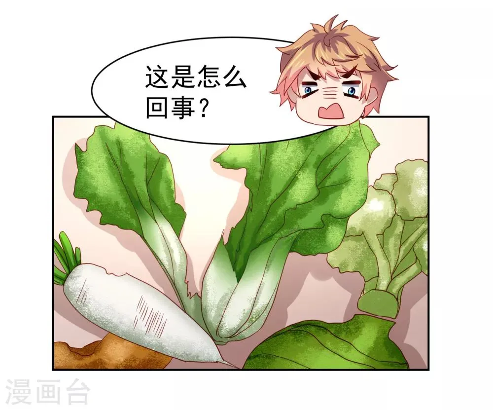第65话 偷菜贼竟是兔耳娘！ 第5页
