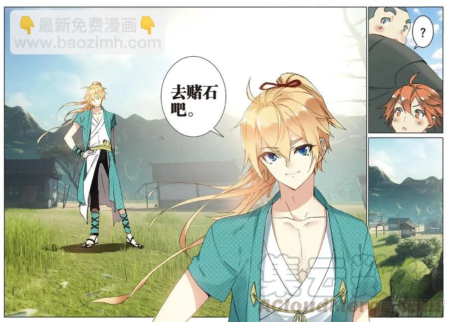 70 相约赌石城 第13页