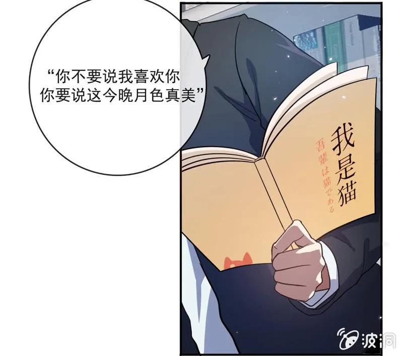 我是猫 第33页