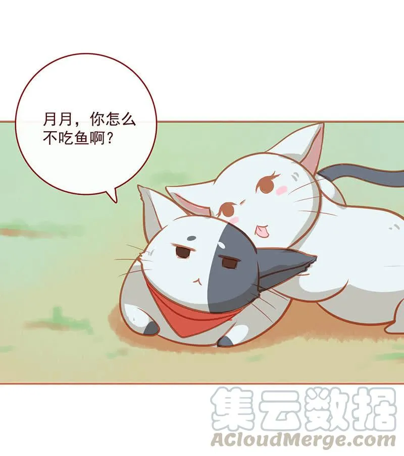 烟姐的照片 第50页