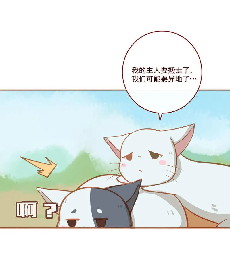 烟姐的照片 第51页