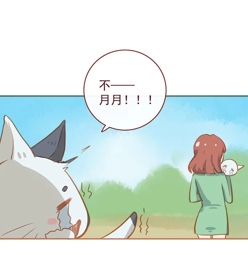 烟姐的照片 第52页