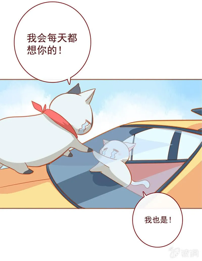 烟姐的照片 第53页
