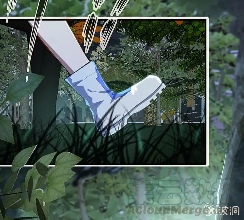 风里雨里，小树林等你 第33页