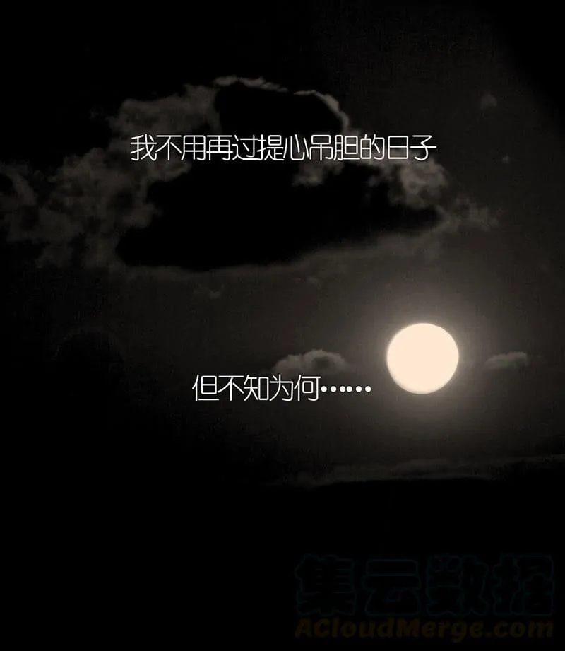 虎毒食子 第36页
