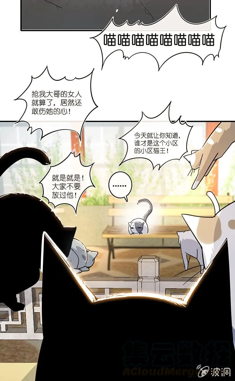 这个味道是说谎的味道，林高一！ 第29页