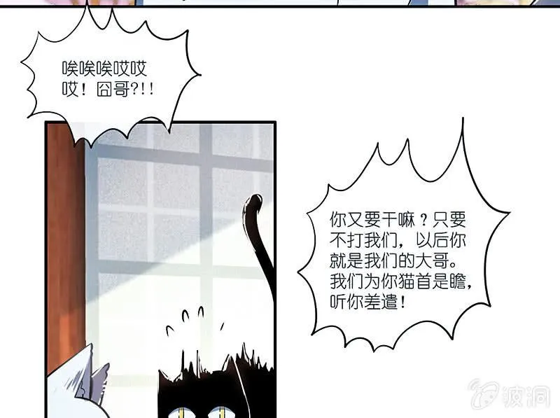 红桃难过美男关 第49页