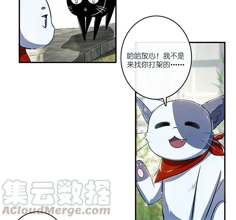 红桃难过美男关 第50页
