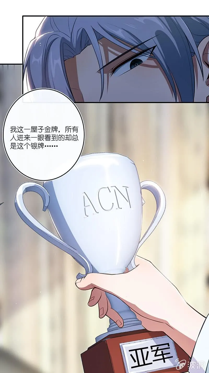 唯一的银色奖杯 第9页
