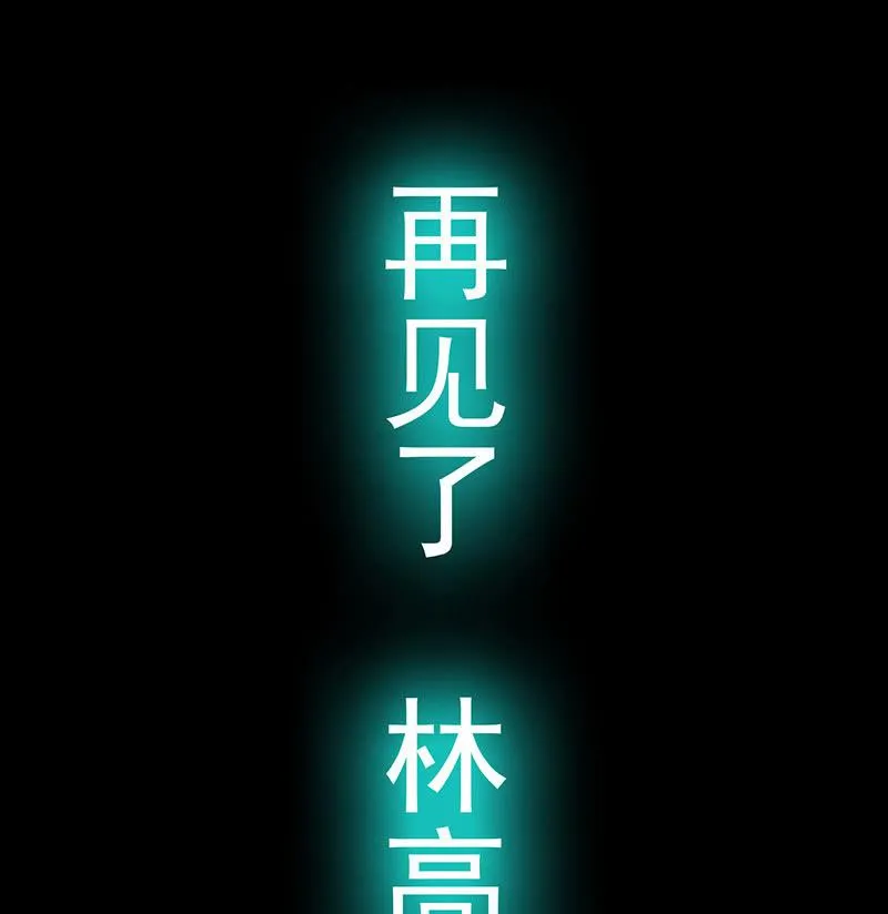 再见了，林高一 第43页