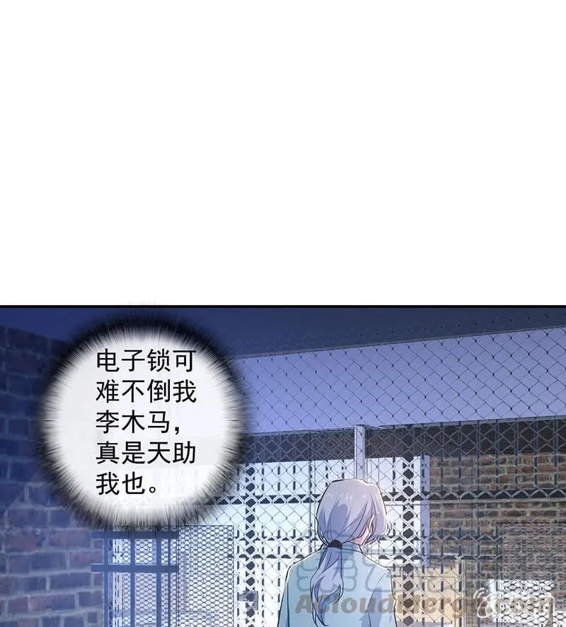 木马逃走了 第29页