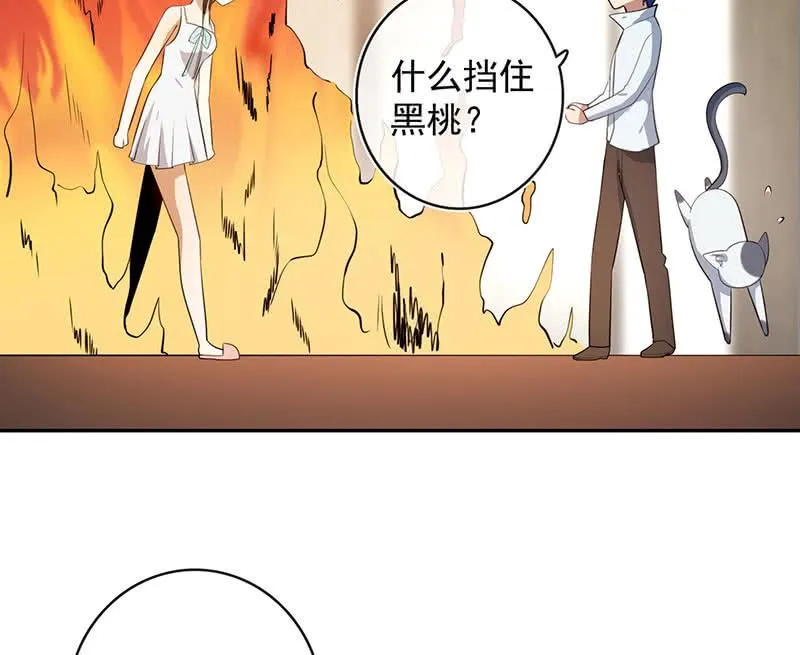 挡住黑桃 第35页