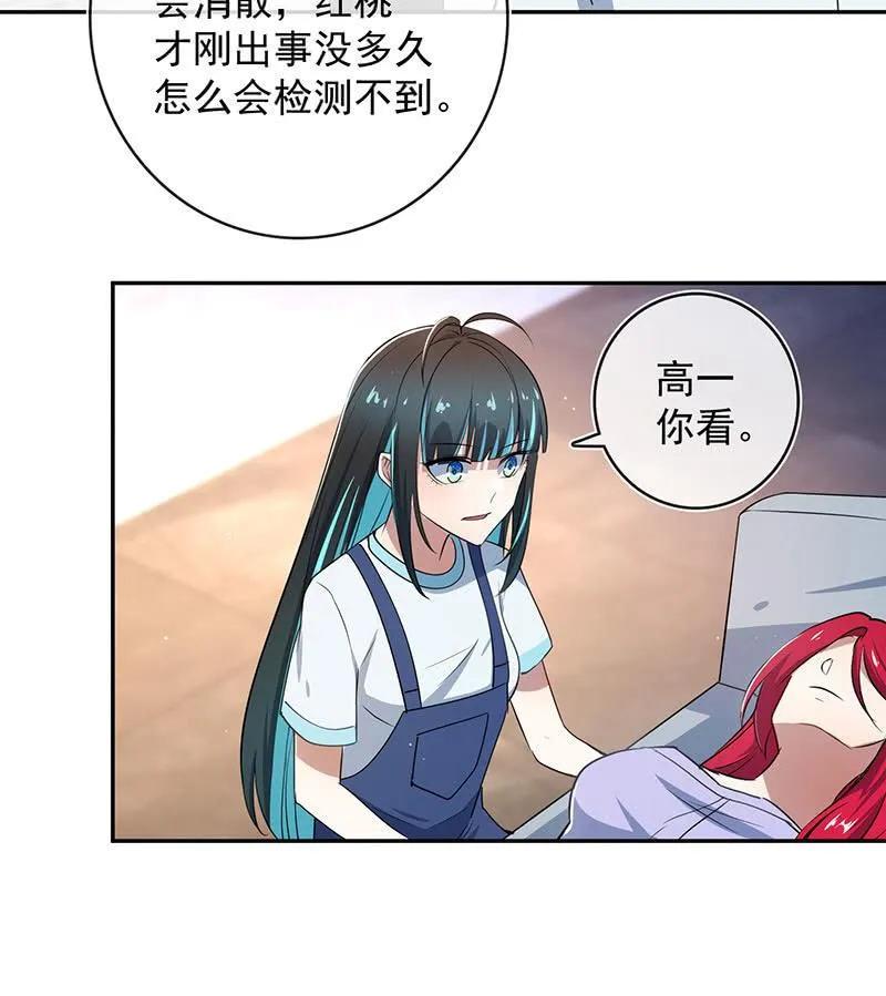 红桃的心愿 第11页