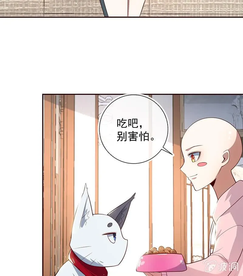 杏子和小猫咪 第41页