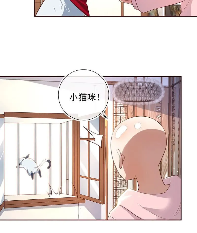 杏子和小猫咪 第42页