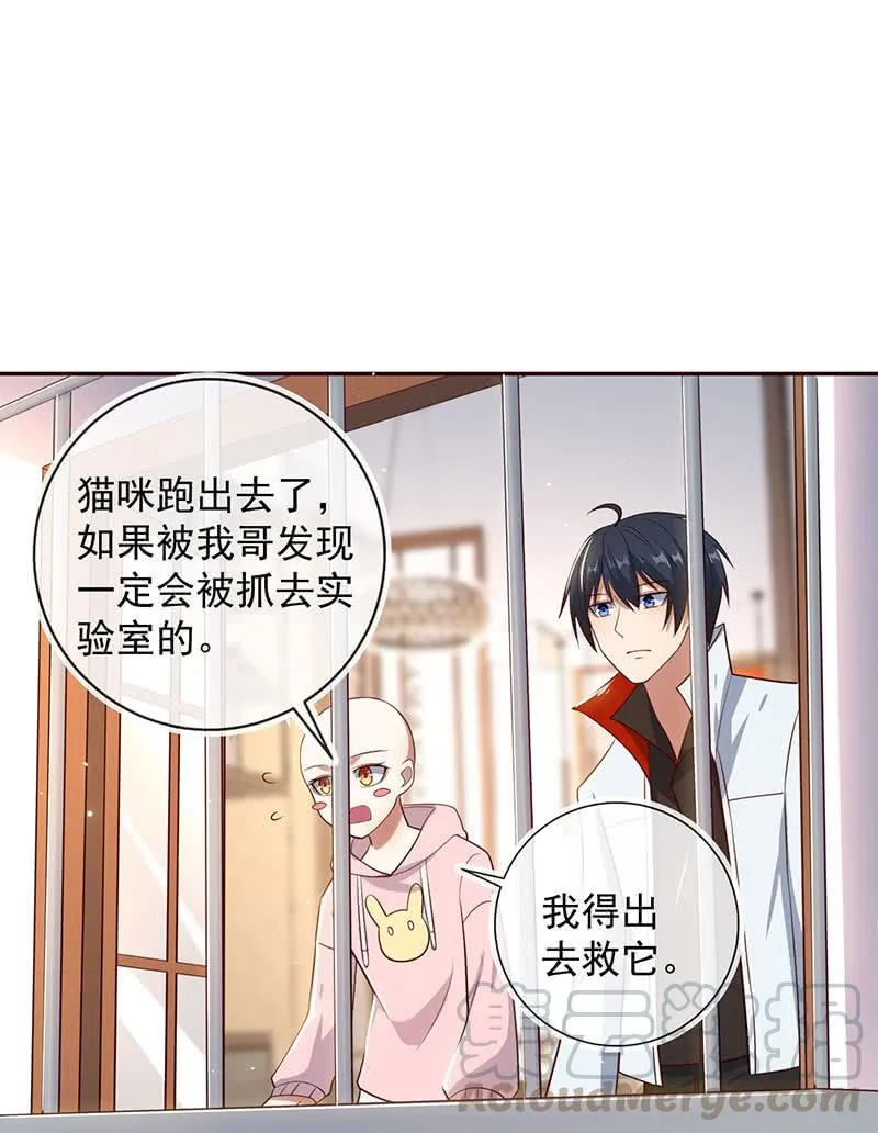 杏子和小猫咪 第43页
