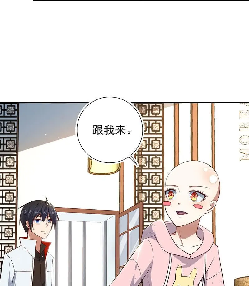 书架后的密道 第4页