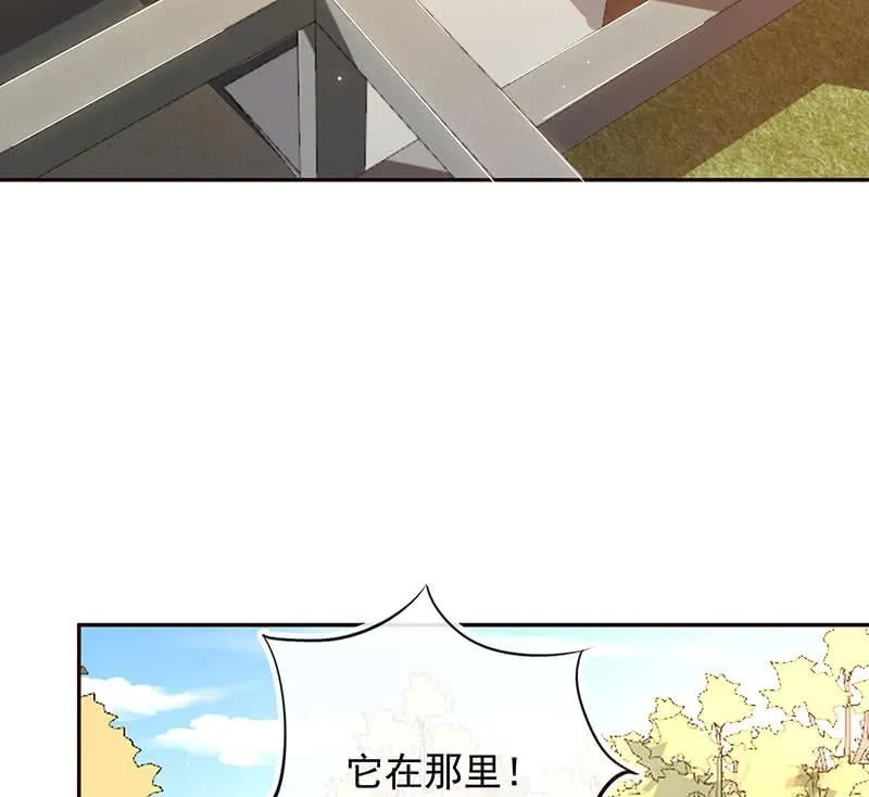 书架后的密道 第16页