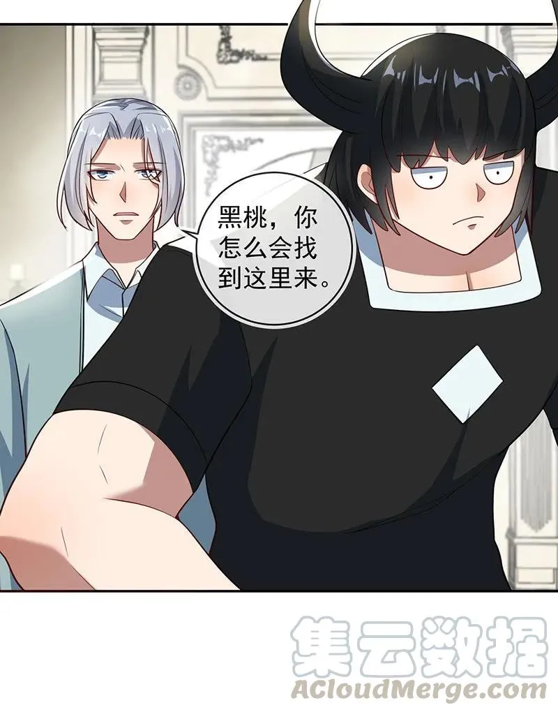 我黑桃还没怕过谁 第31页