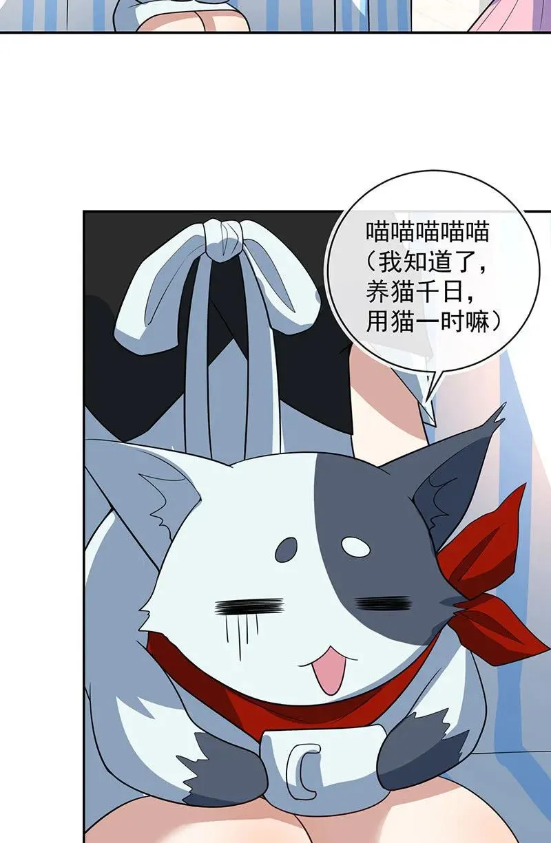 猫猫特工队 第10页