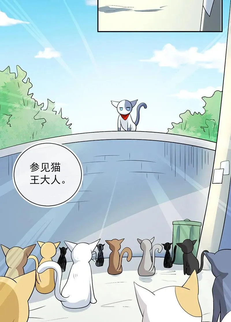 猫猫特工队 第15页
