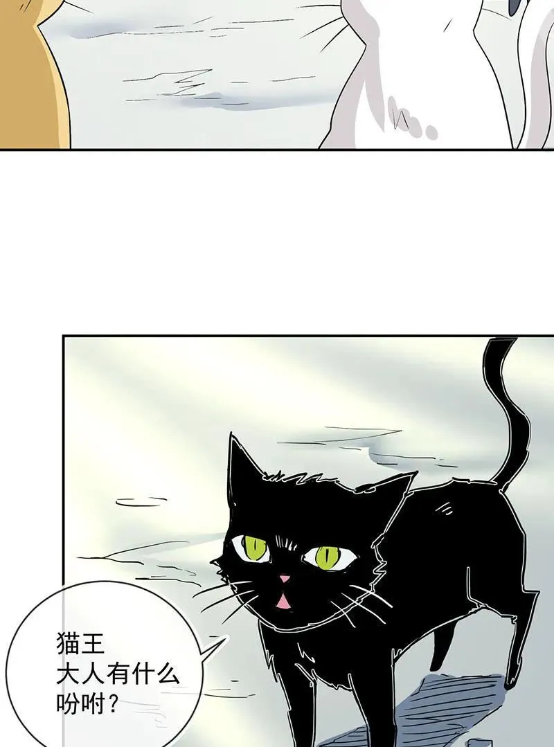 猫猫特工队 第16页