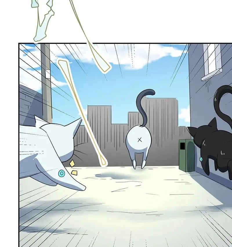 猫猫特工队 第19页