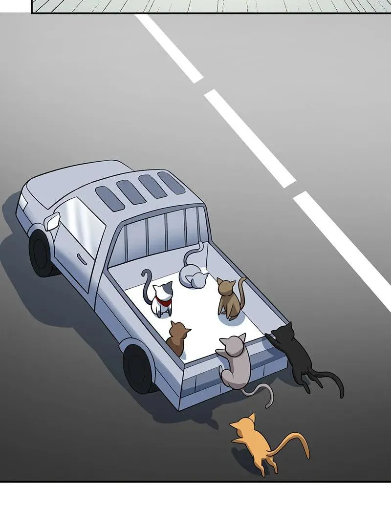 猫猫特工队 第20页