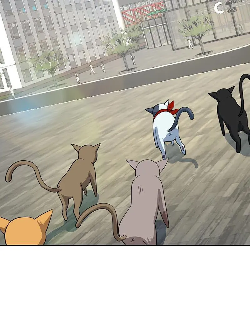 猫猫特工队 第23页
