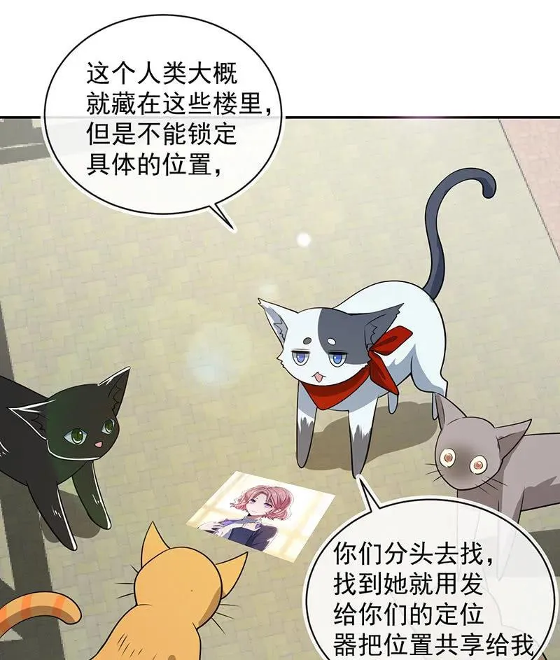 猫猫特工队 第24页