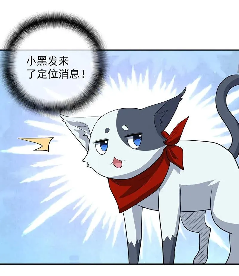 猫猫特工队 第31页