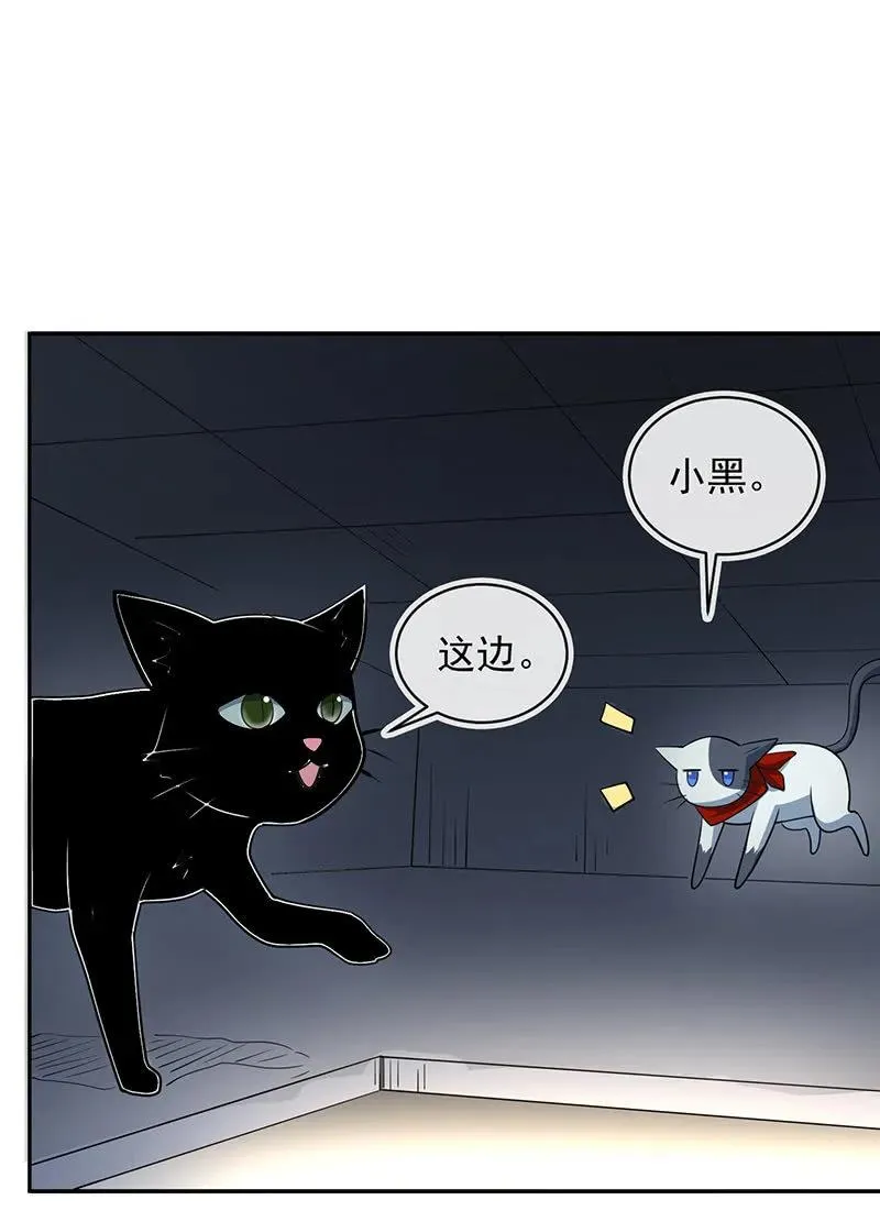 猫猫特工队 第32页