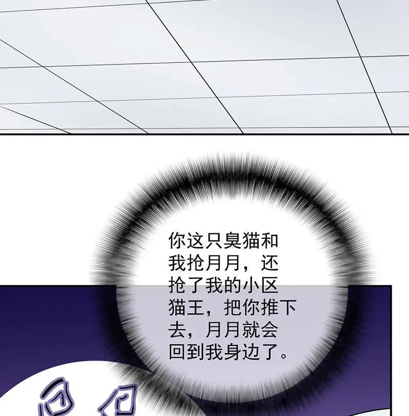 猫猫特工队 第38页