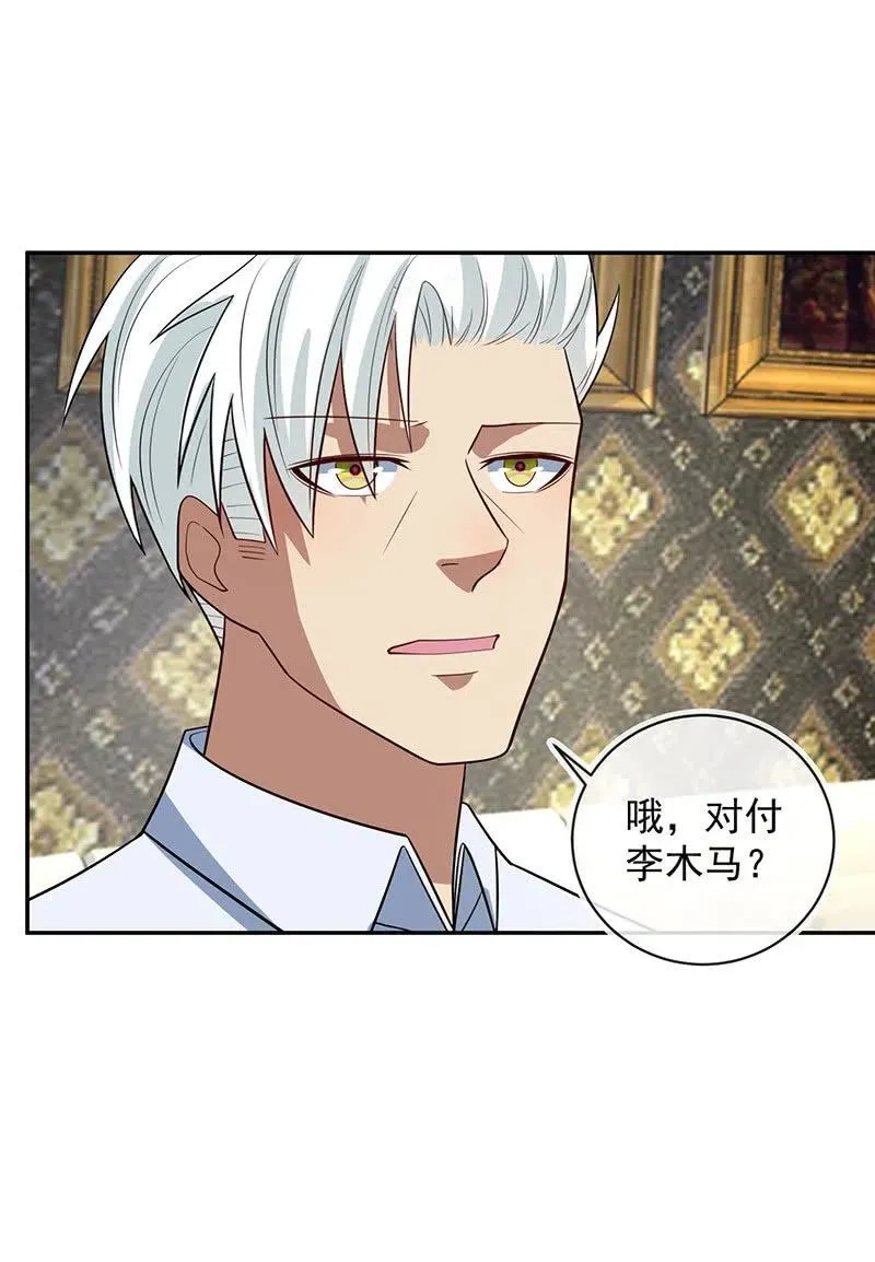 背锅侠李木马 第12页