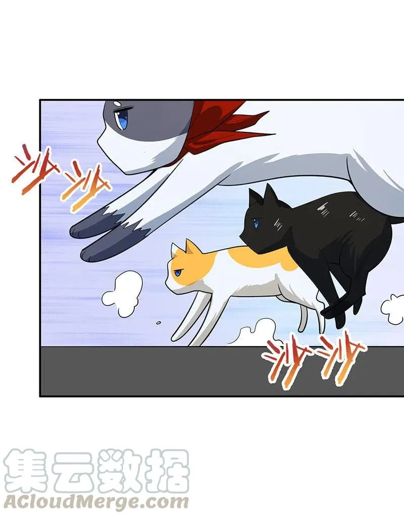抓虫还是要靠猫 第4页