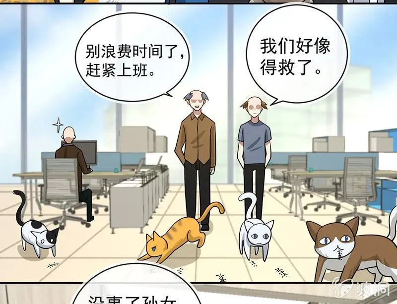 抓虫还是要靠猫 第9页