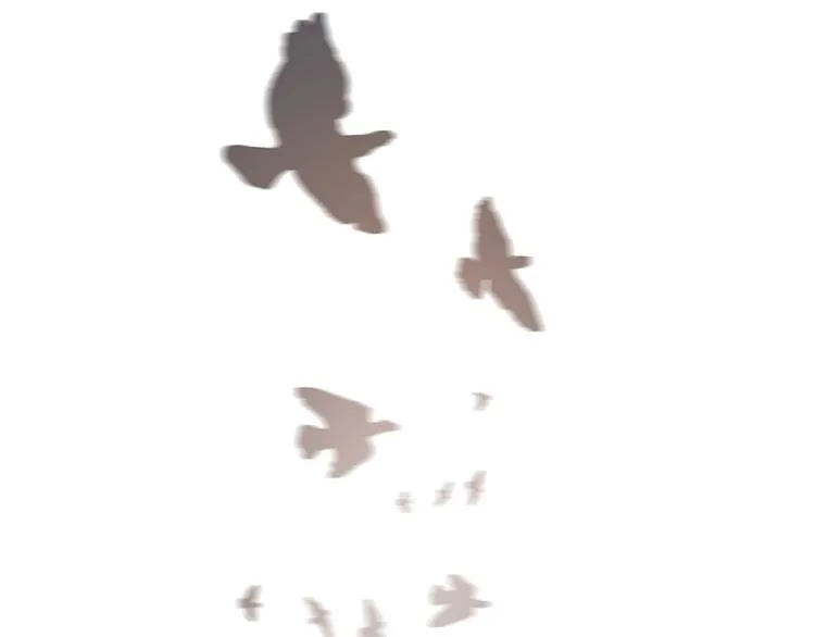 番外：枷锁 第48页