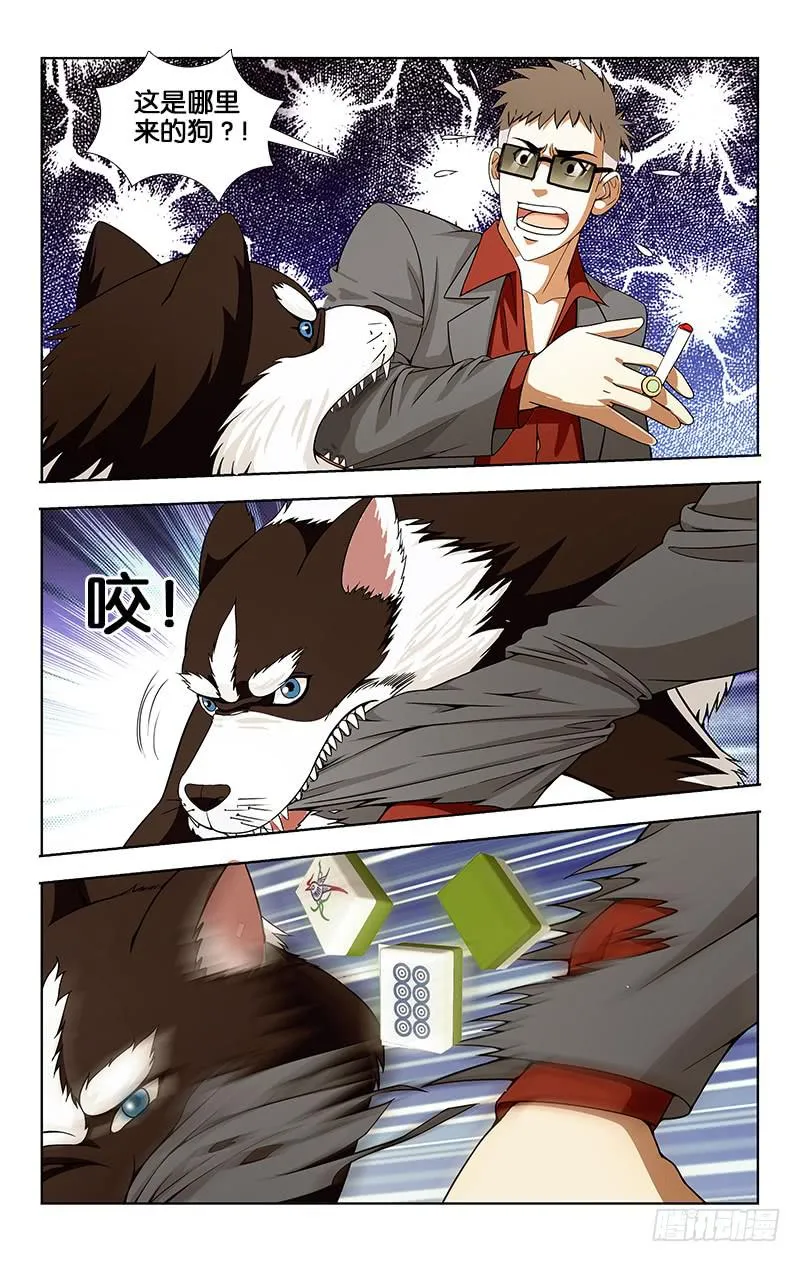 28 第4页