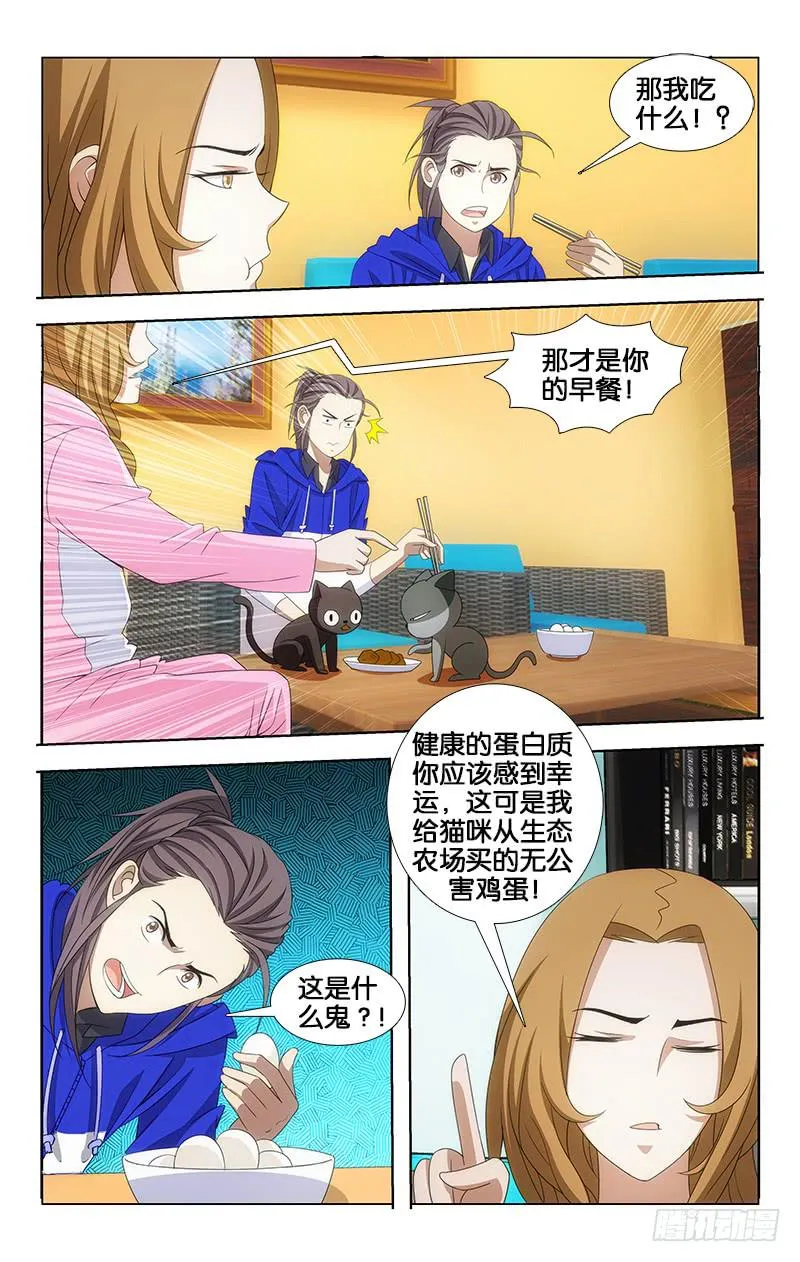 33 第5页