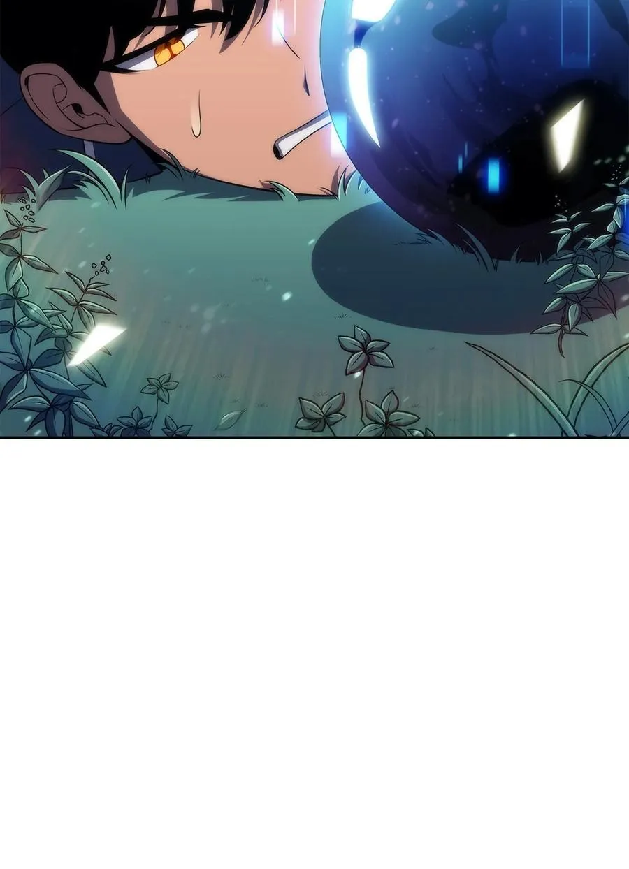 23 新规则 第24页