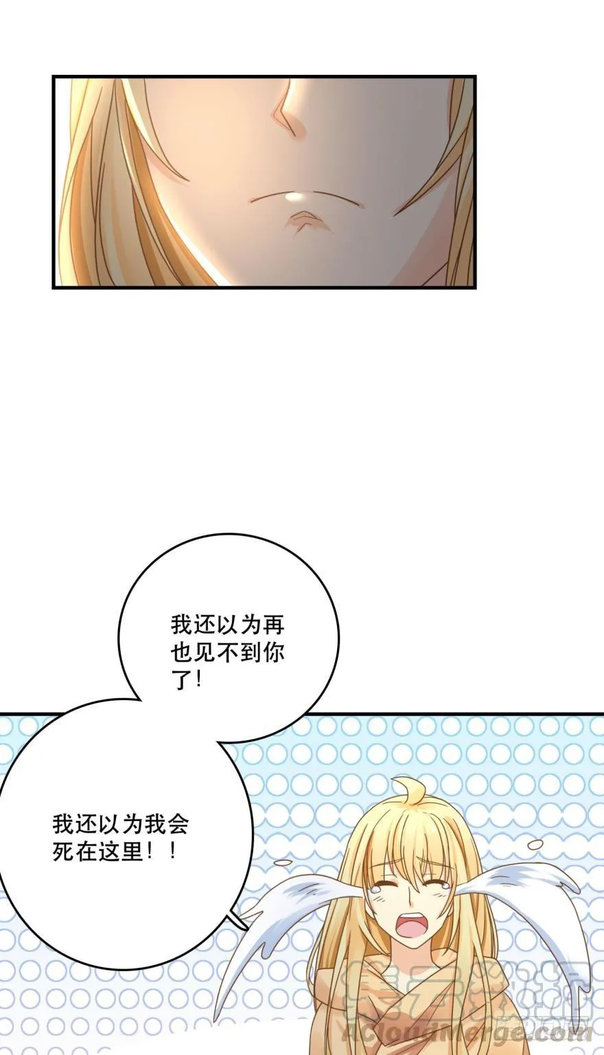 我来晚了 第17页