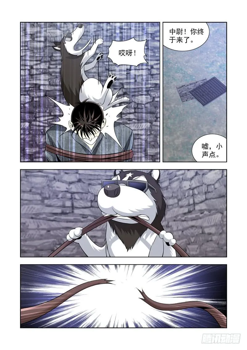 9 第8页