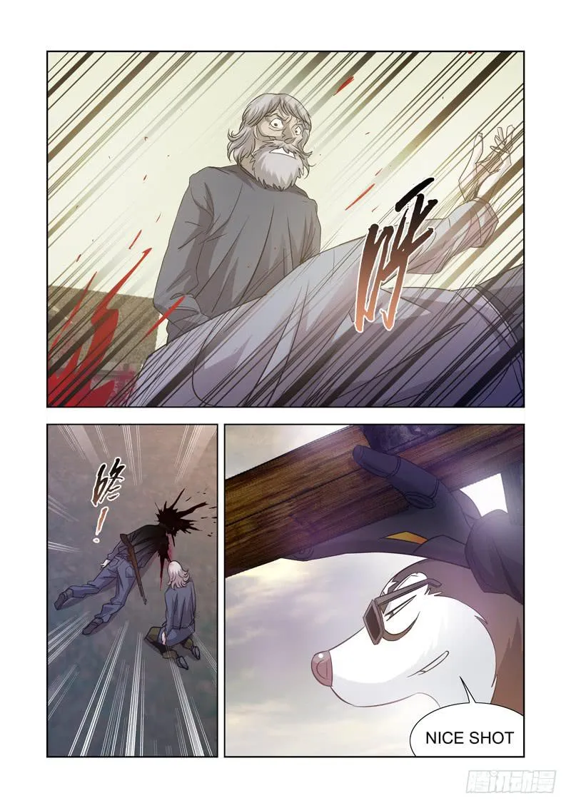 13 第8页