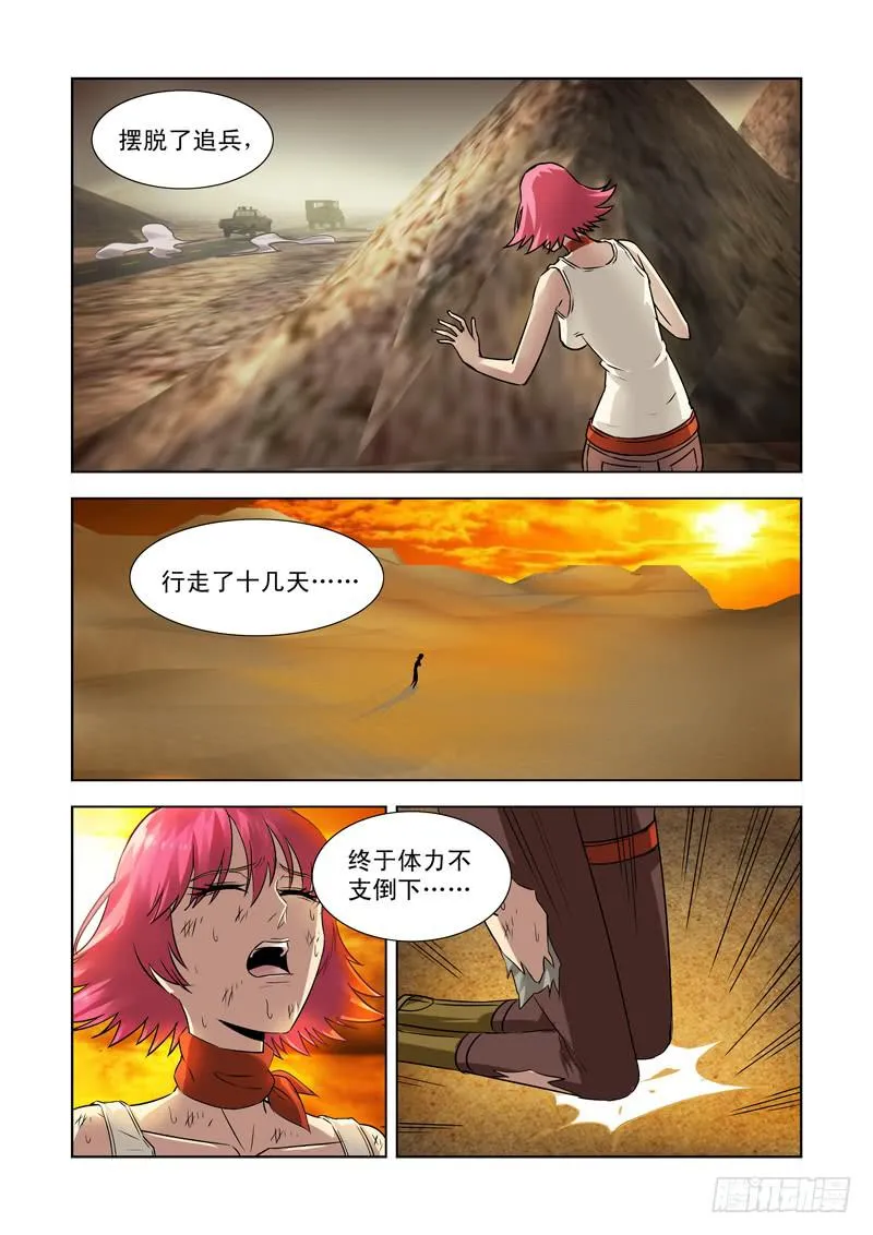 29 第4页