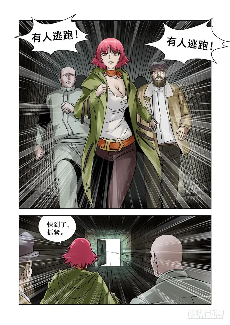 31 第7页